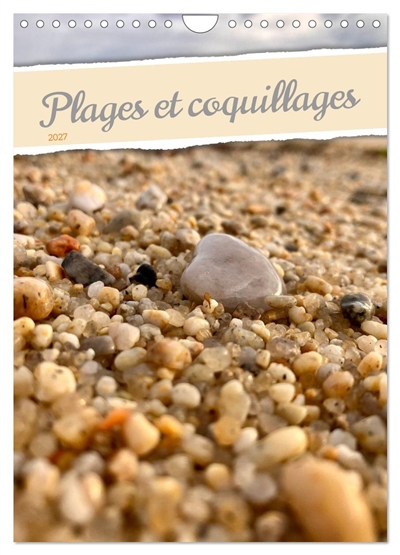 Plages et coquillages...