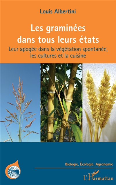 Les graminées dans tous leurs états : leur apogée dans la végétation spontanée, les cultures et la cuisine