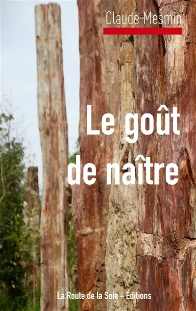 Le goût à naître : Le désir d'enfant des femmes issues de l'immigration