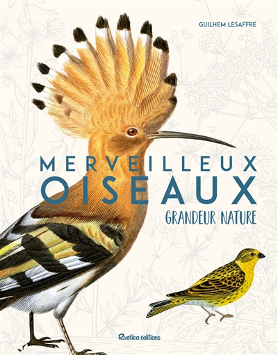 Merveilleux oiseaux...