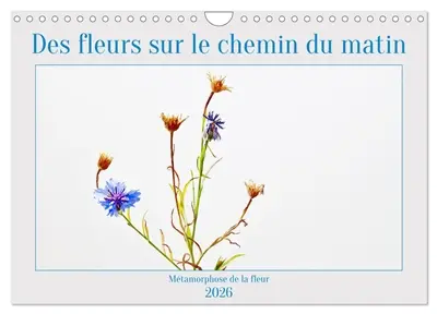 Des fleurs sur le chemin du matin (Calendrier mural 2026 DIN A4 vertical), CALVENDO calendrier mensuel : La métamorphose des fleurs, les moyens de semer