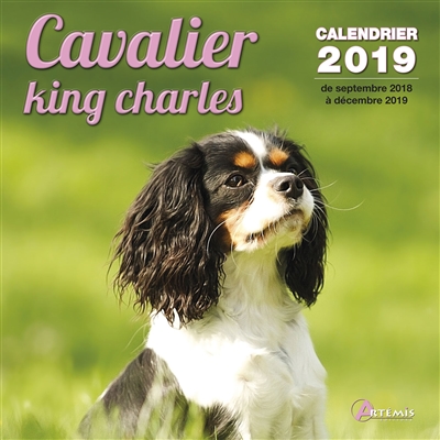 Cavalier King Charles :...