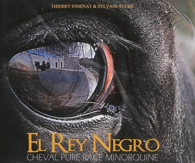 El rey negro : cheval pure race minorquine