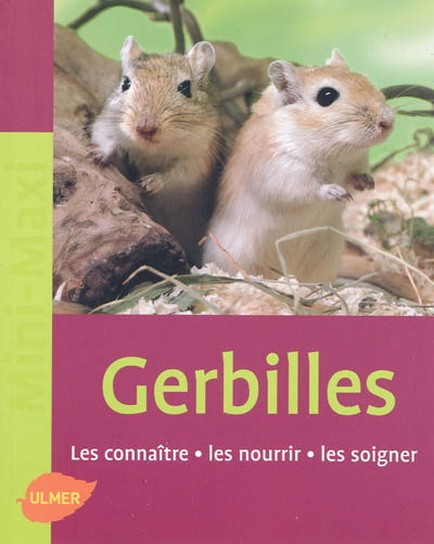 Gerbilles : les connaître, les nourrir, les soigner