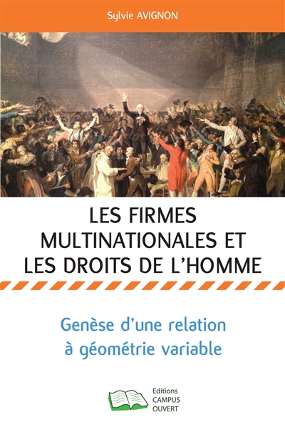 Les firmes multinationales et les droits de l'homme : genèse d'une relation à géométrie variable