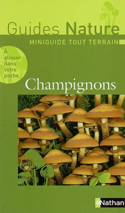 Champignons