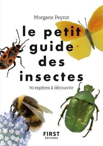 Le petit guide des insectes : 70 espèces à découvrir