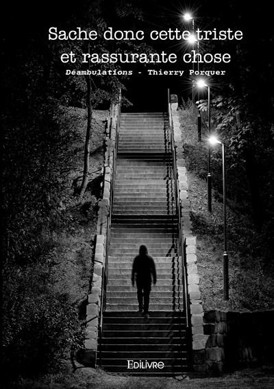 Sache donc cette triste et rassurante chose : Déambulations