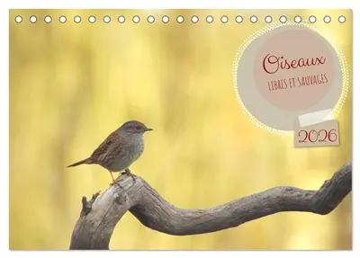 Oiseaux libres et sauvages (Calendrier de bureau 2026 DIN A5 vertical), CALVENDO calendrier mensuel : Oiseaux libres et sauvages dans leur milieu naturel.