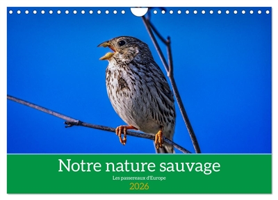 Notre nature sauvage, les...