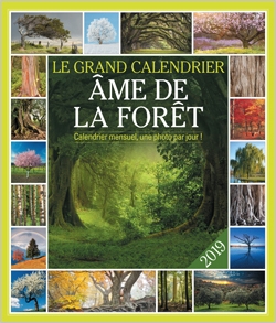 Ame de la forêt : le grand calendrier 2019 : calendrier mensuel, une photo par jour !