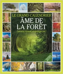 Ame de la forêt : le grand calendrier 2019 : calendrier mensuel, une photo par jour !