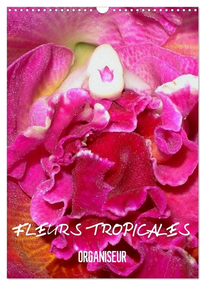 Fleurs tropicales /...
