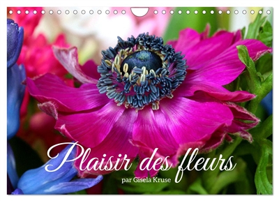 Plaisir des fleurs...