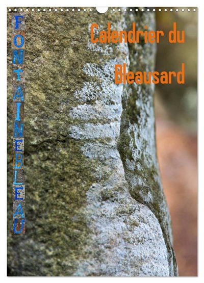 Calendrier du Bleausard (Calendrier mural 2026 DIN A3 horizontal), CALVENDO calendrier mensuel : Le calendrier de tous les grimpeurs fans d'escalade à Fontainebleau