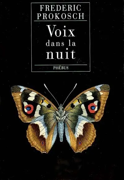 Voix dans la nuit
