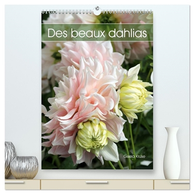 Des beaux dahlias...