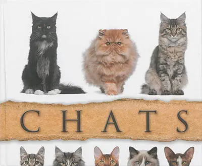 Chats