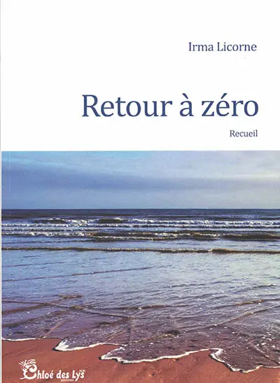 Retour à zéro : recueil