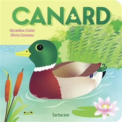 Canard