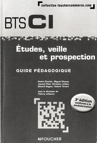 Etudes, veille et prospection : BTS CI, 1re année : guide pédagogique
