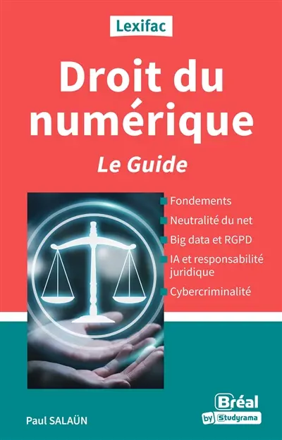 Droit du numérique : fondements, neutralité du net, big data et RGPD, IA et responsabilité juridique, cybercriminalité : le guide