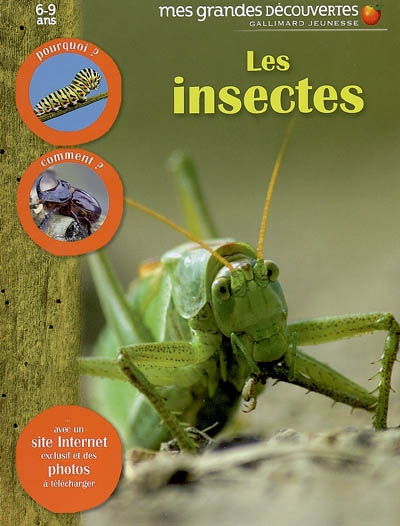 Les Insectes