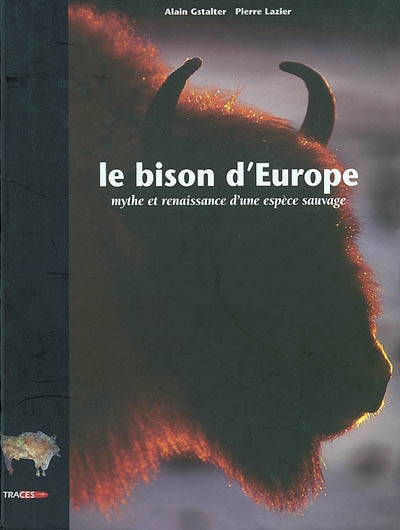 Le bison d'Europe : mythe et renaissance d'une espèce sauvage