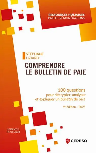 Comprendre le bulletin de paie : 100 questions pour décrypter, analyser et expliquer un bulletin de paie : 2025