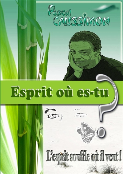 Esprit où es-tu ? :...