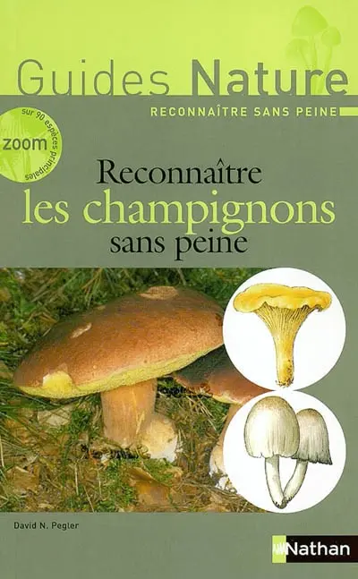 Reconnaître les champignons sans peine