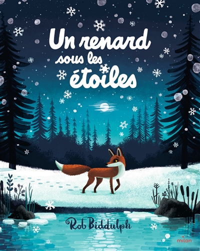 Un renard sous les étoiles