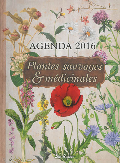 Plantes sauvages & médicinales : agenda 2016