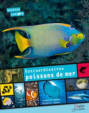 Extraordinaires poissons de mer