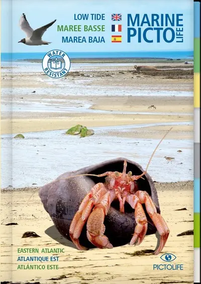 Marine Pictolife marée basse : Atlantique est. Marine Pictolife low tide : eastern Atlantic. Marine Pictolife marea baja : Atlantico este