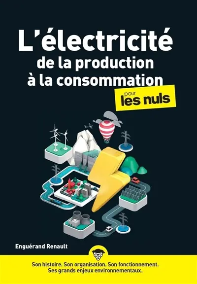 L'électricité, de la production à la consommation, pour les nuls