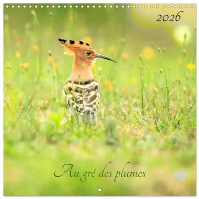 Au gré des plumes...