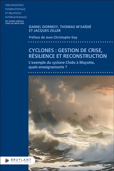 Cyclone : gestion de crise, résilience et reconstruction : l'exemple du cyclone Chido à Mayotte