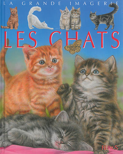 les chats - la grande imagerie