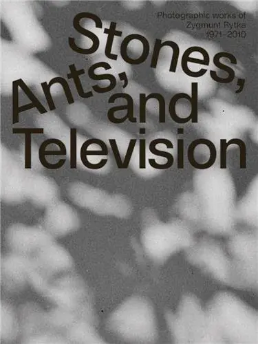 Zygmunt Rytka Stones Ants and Television