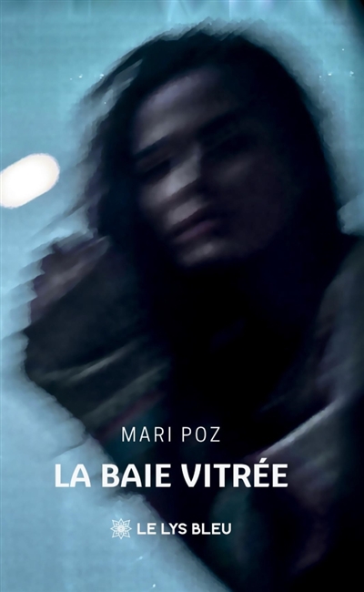 La baie vitrée