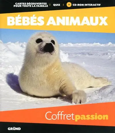 Bébés animaux