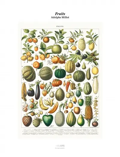 Fruits