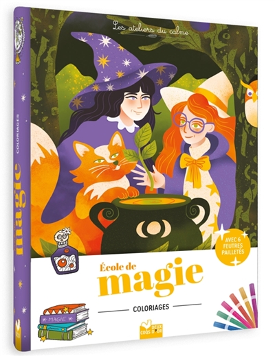 coloriages ecole de magie : pochette 6 feutres pailletés