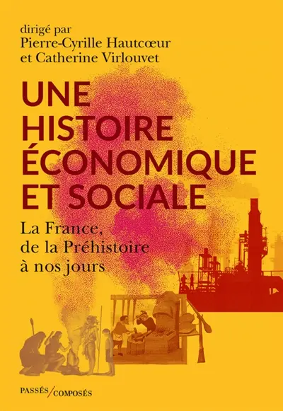 Une histoire économique et sociale : la France, de la préhistoire à nos jours