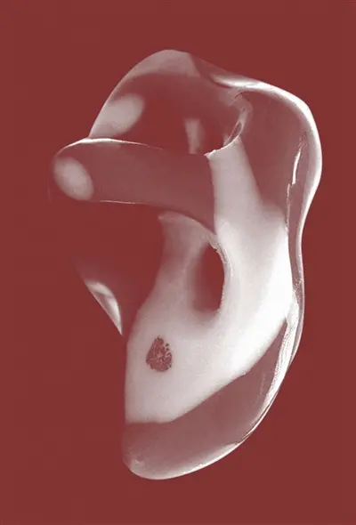 Une généalogie des grandes oreilles