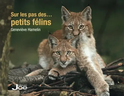 Sur les pas des petits félins