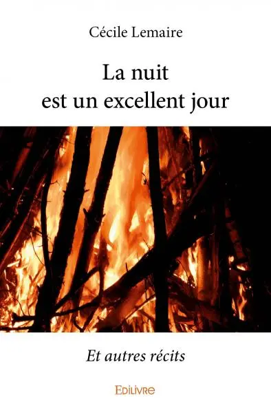 La nuit est un excellent jour : Et autres récits