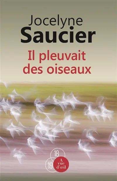 Il pleuvait des oiseaux