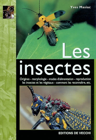 Les insectes : origines, morphologie, modes d'alimentation, reproduction, les insectes et les végétaux, comment les reconnaître